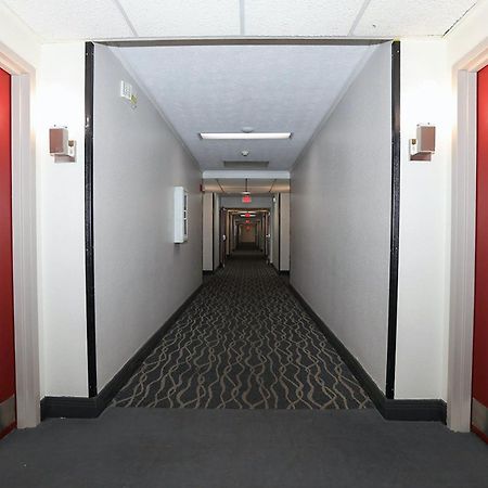 Red Roof Inn & Suites Lexington - Hamburg Екстериор снимка